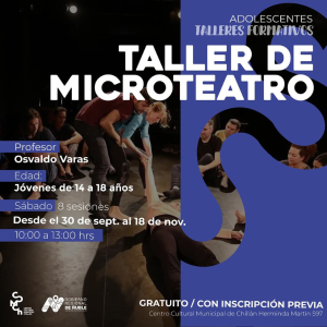 taller de microteatro ts